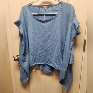 NWT small blue Davi & Dani top